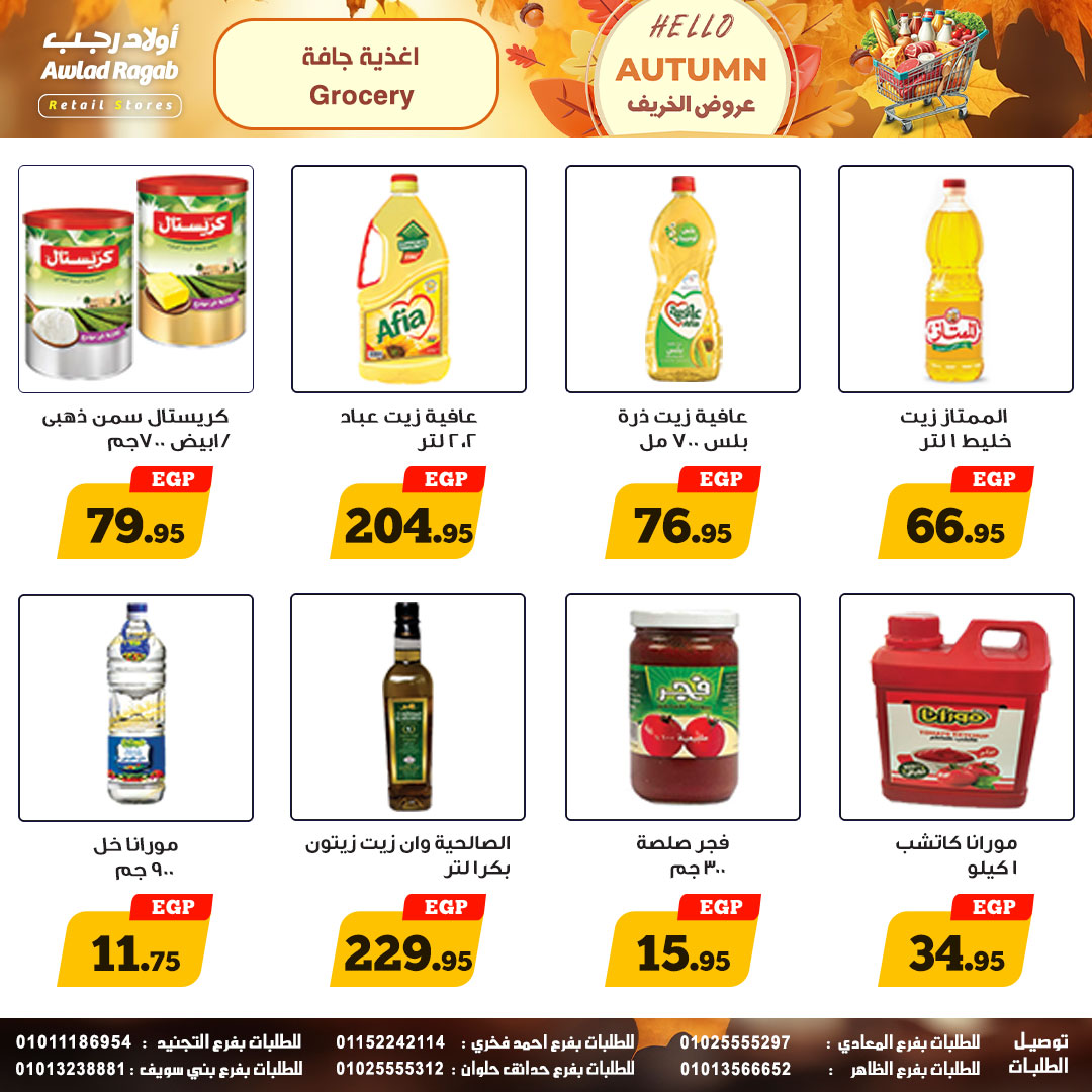 ragab-sons offers from 23oct to 1oct 2025 عروض أولاد رجب من 23 أكتوبر حتى 1 أكتوبر 2025 صفحة رقم 14